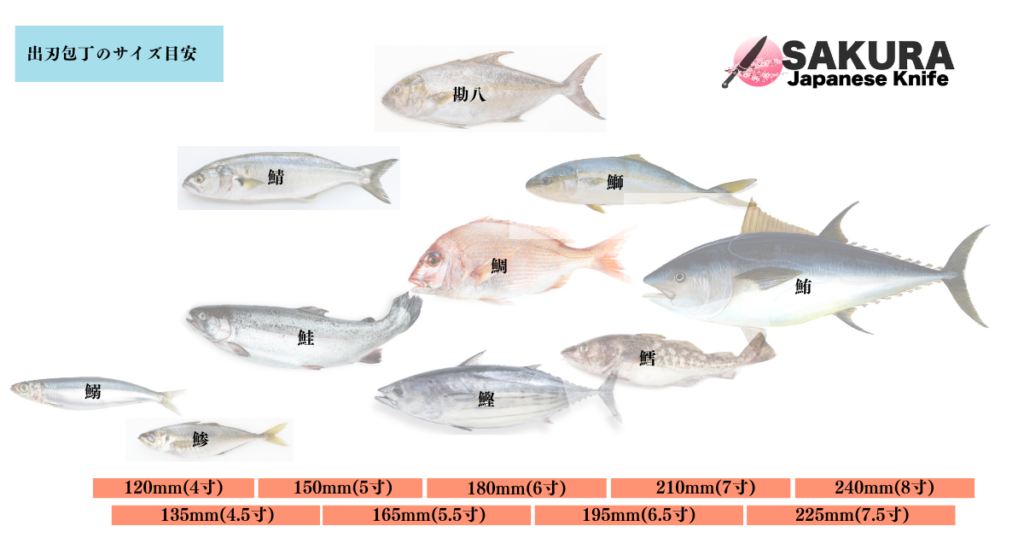 魚のサイズ毎に適切な出刃包丁の刃渡り